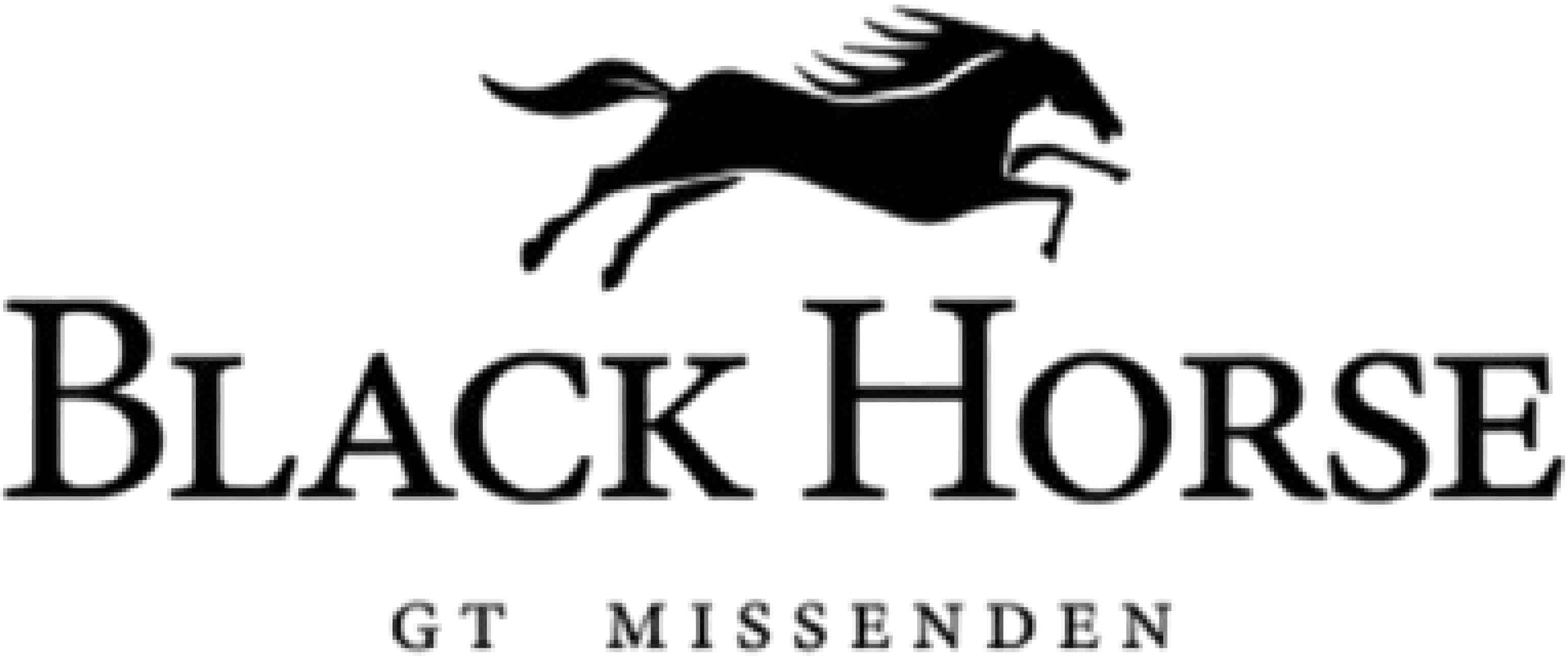 The Black Horse GT Logo